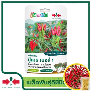 East-West Seed เมล็ดพันธุ์พริกขี้หนู ปู่เมธเบอร์1 (จันกะผัก) เมล็ดพันธุ์ผัก เมล็ดพันธุ์ ผักสวนครัว ตราศรแดงมักกะโรนี/ขึ้