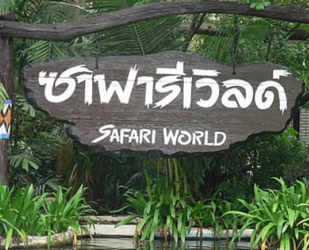 [Physical Ticket] บัตรสวนสัตว์ซาฟารีเวิลด์ Safari World ต่ออายุบัตรหมดเขต 31/12/21