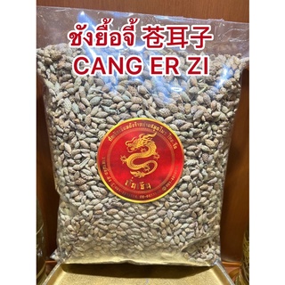 ชังยื้อจี้ 苍耳子 CANG ER ZI ซัวยื้อจี้ ชังเอ่อร์จื่อ ชังยือจี้ ซัวยือจี้