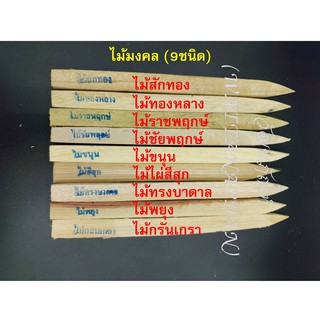 ไม้มงคล โชคลาภ (9 ชนิด) ไม้จริง! ไม้ลงเสาเอก