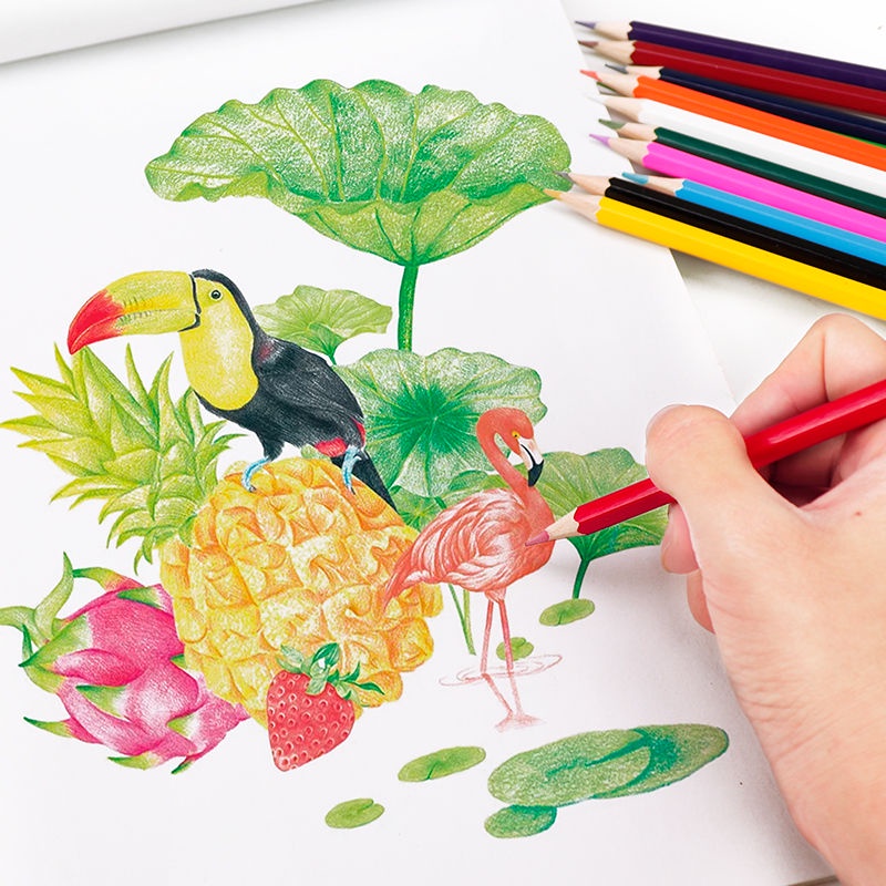 jhปากกาสีสำหรับเด็ก Water Soluble Erasable Drawing Art Supplies ...