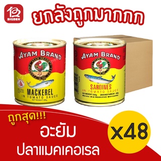 [ยกลัง 48 กระป๋อง]  Ayam อะยัม ปลากระป๋อง ขนาด 230 กรัม