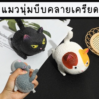 ตุ๊กตาน้องแมวยืดได้หดได้ ราคาส่ง เล่นคลายเครียด บีบเล่นแก้เครียดได้ แมวยืด ของเล่นคลายเครียด ของเล่นผ่อนคลาย