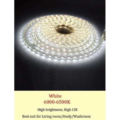 ไฟเส้นพร้อมใช้ LED ROPE LIGHT 5050 with Plug 220VAC and End cap Waterproof ราคา ถูกที่สุด ดีลบีเคเค แกลเลอรีภาพที่ 7