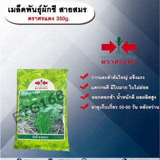 เมล็ดพันธุ์ผักชี สายสมร ตราศรแดง 350g. เมล็ดพันธุ์ เมล็ดพันธุ์ผัก เมล็ดพันธุ์พืช ผักชี ผักสวนครัว รากใหญ่ ลำต้นใหญ่