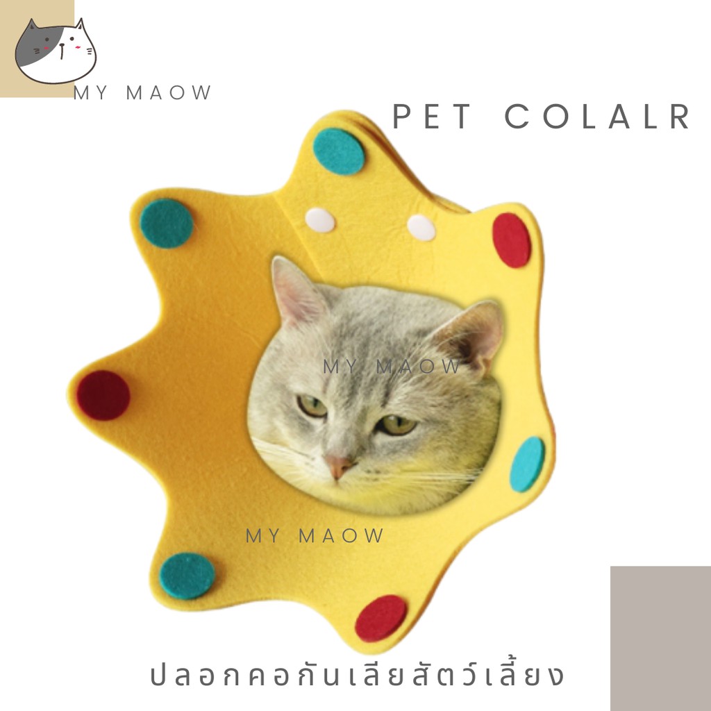 MM CAT // ปลอกคอกันเลียแผล คอลล่า003แบบ2 คอลล่ากันเลียแผลสัตว์เลี้ยง คอลล่ากันเลียแมว คอลล่ากันเลียหมา