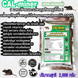 CalMinerแคลมินเนอร์2,000กรัมอาหารเสริมหนูทุกชนิดแคลเซียมและแร่ธาตุรวมบริสุทธิ์ธรรมชาติ100%สูตรเข้มข้นเกรดพิเศษ##ส่งฟรี##