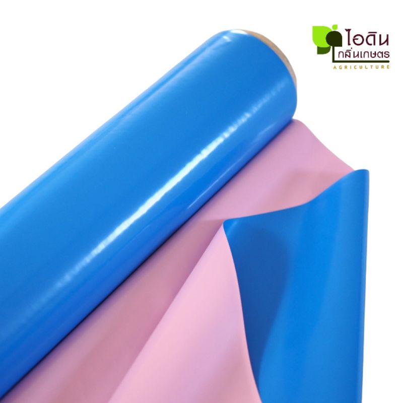 รูปภาพ 2