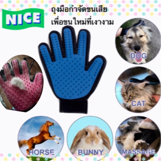 ถุงมือแปรงขน /อาบน้ำ สัตว์เลี้ยง *สีใหม่ *สีเขียว /สีส้มข้างขวา /สีน้ำเงินข้างขวา*