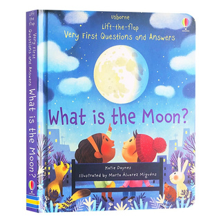 Usborne Lift The Flap Very First Questions and Answers What Is the Moon/Poo/Sleep/Snow/Star Why should I brush my teeth Flip Picture Board Book Kids Child Early Education