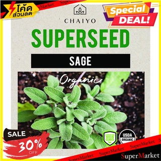 เมล็ดพันธุ์เสจ ชัยโย 10 เมล็ด เมล็ดพันธุ์ SAGE (ORGANIC) 10 SEEDS ต้นไม้และเมล็ดพันธุ์