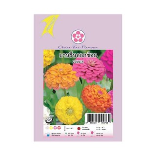 เมล็ดพันธุ์ บานชื่น ดอกซ้อน ZINNIA CHIA TAI SEED