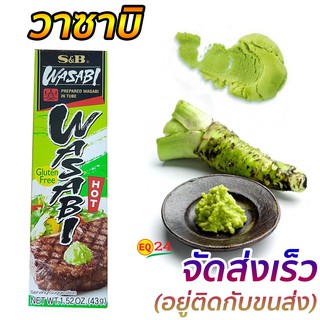 วาซาบิ S&amp;B Wasabi สำเร็จรูป วาซาบิหลอด 43 กรัม