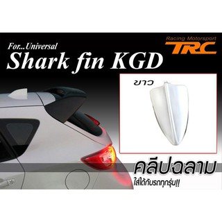 ครีบฉลาม shark fin KGD สีขาว