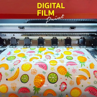 รับปริ้น Digital Film Transfer (Flex ตัวรีดร้อน รีดลงเสื้อผ้า)