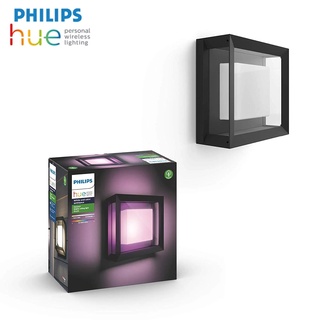 Philips Hue Econic Outdoor White &amp; Color Wall &amp; Ceiling Light Fixture (Hue Hub Required, Works with Alexa, Apple Homekit