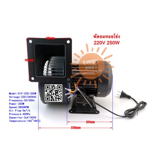 [พร้อมส่งจากไทย] พัดลมหอยโข่ง Blower 220V 250W อะไหล่พัดลม พัดลมหอยโข่ง พัดลมอุตสาหกรรม รุ่นแรงสุนทรียศาสตร์ พัดลม