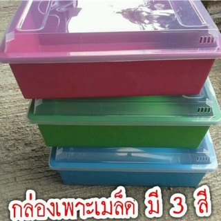 กล่องเพาะ 3 ใบ 100 บาท