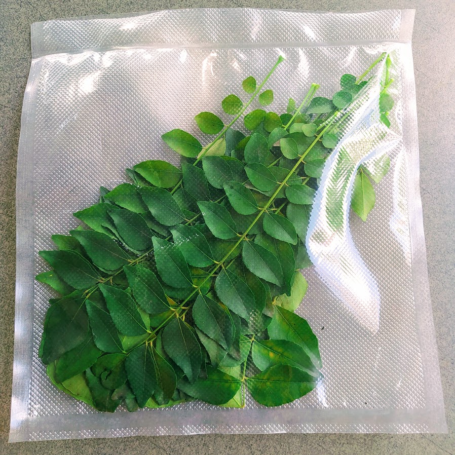 Fresh curry leaves ใบกะหรี่ 25 กรัม (ประมาณ 15 ก้าน) ใบหอมแขก ใบแกง ใบหมุย Khadi patta Karapincha 20