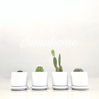 กระถางเซรามิค 2.5" เคลือบเงา🌿 พร้อมจานรอง l White Flower Pots With Saucer l กระถางแคคตัส l กระถางเซรามิค l กระถางต้นไม้