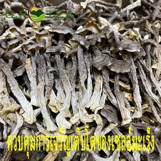 เห็ดกำมะหยี่แห้ง อบแห้ง100% เกรดซูเปอร์ 特级 鹿茸菇 鲜香味十足