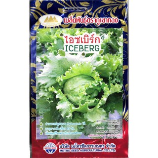 เมล็ดผักสลัด ไอซเบิร์ก (Iceberg) 400 เมล็ดโดยประมาณ (เมล็ดพันธุ์ผัก เมล็ดพันธุ์พืช ผักสวนครัว ตราภูเขาทอง)