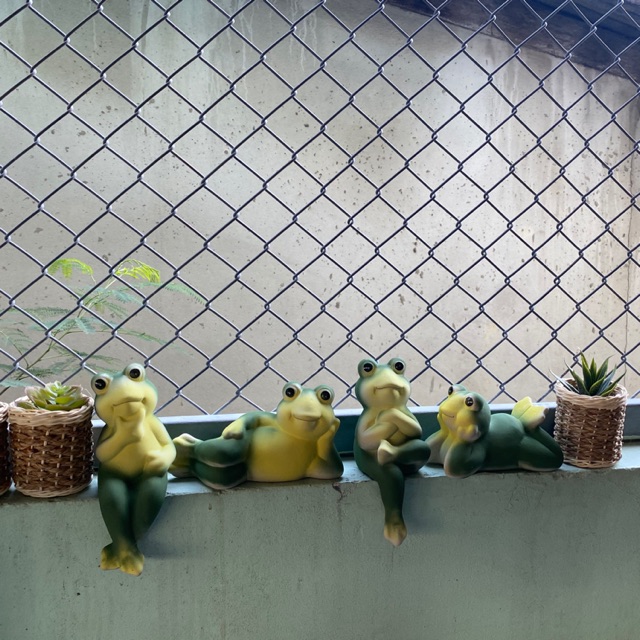 กบเซรามิก  ตุ๊กตาจัดสวน ตุ๊กตาแต่งสวน 🏡ตุ๊กตาแต่งบ้านเรา /ตัวใหญ่ ขนาด 28 cm
