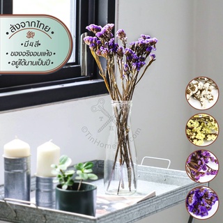 Homequarterbkk-Dried Flower-Statice ดอกไม้ ดอกสตาติส อบแห้ง ดอกไม้ จริง ดอกไม้สดทำแห้ง ตกแต่งบ้าน ร้า