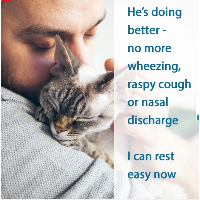 ส่งฟรีไม่ใช้โค้ด (แมว) Breathe Easy Respiratory Support อาหารเสริมหวัดแมว แมวเป็นหวัด จาม น้ำมูกไหล คัดจมูก หวัดแมว แมวไ