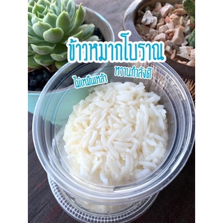 ข้าวหมากโฮมเมดสูตรโบราณ รสหวานจากธรรมชาติ มีประโยชน์ต่อสุขภาพ 50 กรัม/ถ้วย 1 ชุด 12 ถ้วย