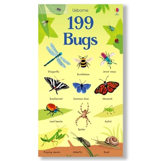 DKTODAY หนังสือ USBORNE 199 BUGS