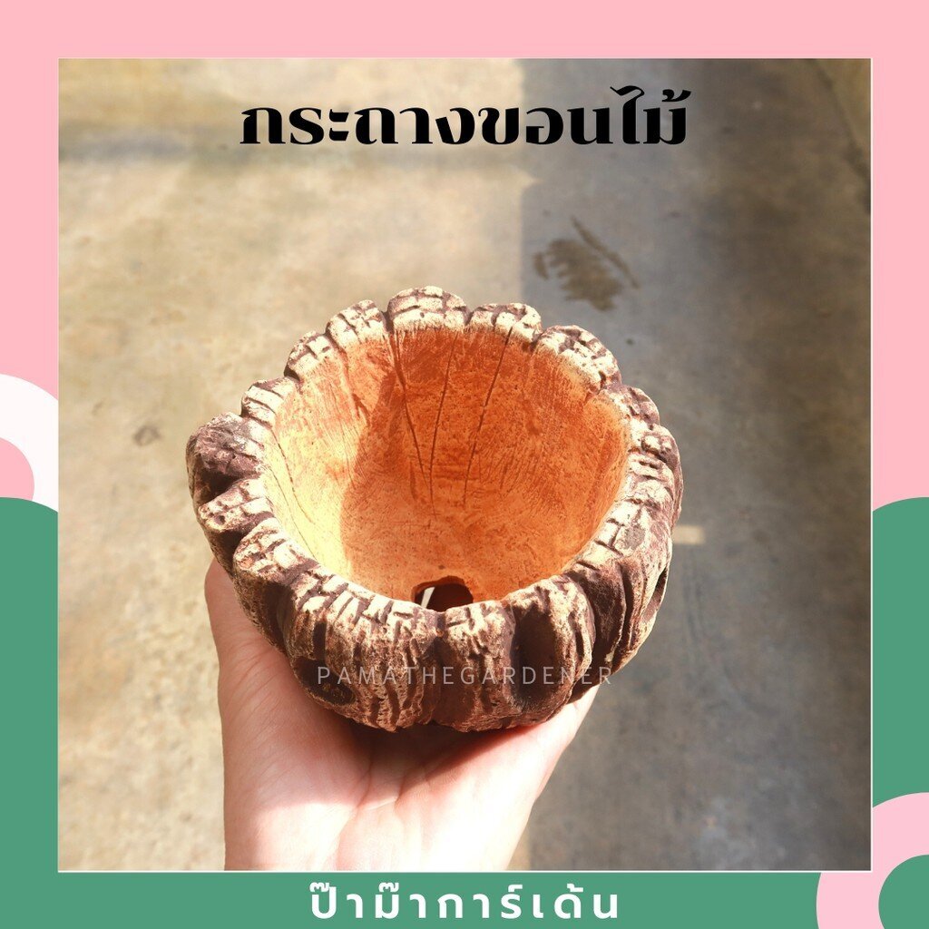 มุมมอง 2