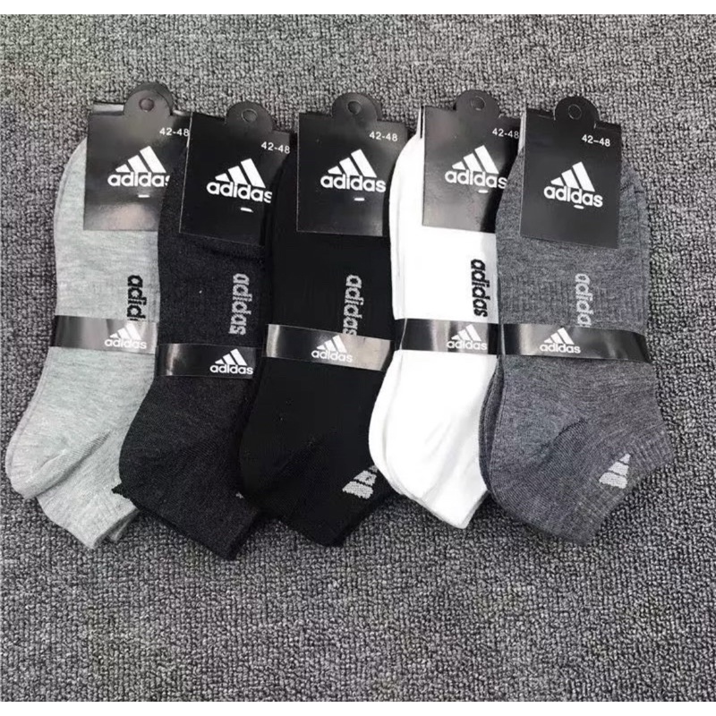 รูปภาพ 5