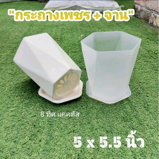 กระถางเพชร 5 นิ้ว + จาน (สูง) // กด100 ชิ้น 1850฿ -- 6เหลี่ยมเพชร กระถางพลาสติก แคคตัส กระบองเพชร