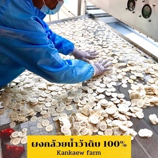 ผงกล้วยดิบ ผงกล้วยน้ำว้าดิบ 100% ไม่ผสมเปลือก 100g,200g,500g