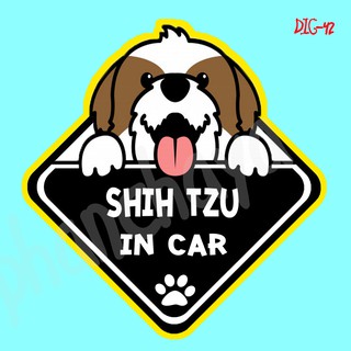 DIC42 สติ๊กเกอร์ ติดรถ Shih Tzu Dog In Car สติ๊กเกอร์ติดรถ แต่งรถ car sticker