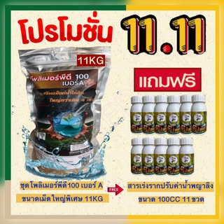 โพลิเมอร์พีดี100 เม็ดใหญ่พิเศษ ขนาด 1 กิโลกรัม คู่กับ สารอุ้มน้ำโพลิเมอร์ สำหรับ ไม้ผล ไม้ยืนต้น ไม้ป่า และต้นไม้ทุกชนิด
