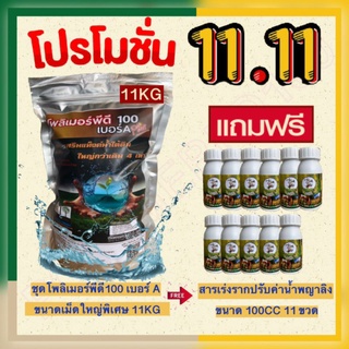 โพลิเมอร์พีดี100 เม็ดใหญ่พิเศษ ขนาด 1 กิโลกรัม คู่กับ สารอุ้มน้ำโพลิเมอร์ สำหรับ ไม้ผล ไม้ยืนต้น ไม้ป่า และต้นไม้ทุกชนิด