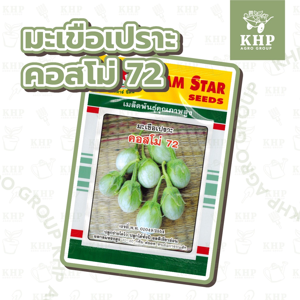 เมล็ดพันธุ์ มะเขือเปราะ คัดพิเศษ พันธุ์ คอสโม่ 72 ซองใหญ่ 1 กรัม   ดก กรอบ หวาน ทรงสวย ลูกใหญ่