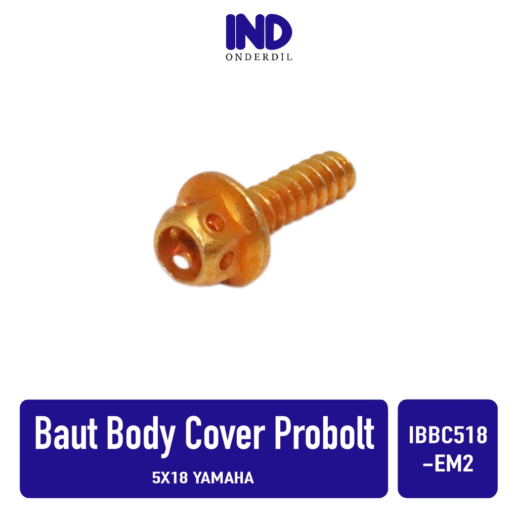 สลักเกลียวสําหรับ Body-Bodi-Visor Probolt Worm Philip-Phillip-Philips-Phillip Yamaha Motorcycle M5x1