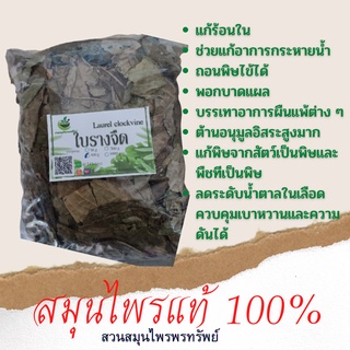 ใบรางจืด(Laurel clockvine) ใบรางจืดแห้ง ขนาด 50/100 กรัม สารสกัดน้ำจากใบรางจืดมีฤทธิ์ในการต้านอนุมูลอิสระสูงมาก