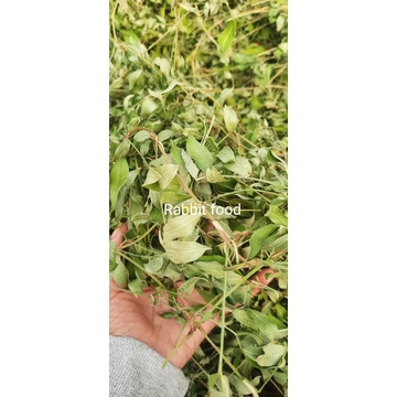 ถั่วกลาบราต้าแห้ง ขนาด 3 กก.1กระสอบต่อ1ออเดอร์เท่านั้น