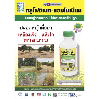 กลูโฟซิเนต-แอมโมเนียม ปราบหญ้าตายยาก ไม่ทำลายรากพืชปลูก  (1 ลิตร)