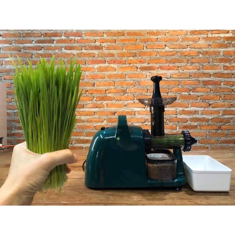 ส่งฟรี เครื่องคั้นน้ำต้นอ่อนข้าวสาลี,ผัก,ผลไม้ ไฟฟ้า (wheatgrass juicer)