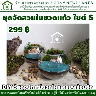 สวนขวดพร้อมจัด DIY ไซต์ S-299 บาท ตกแต่งด้วยธารน้ำสีฟ้า