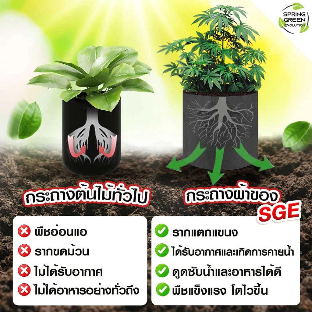 SGE กระถางผ้าปลูกต้นไม้ GB Gallon thumbnail 4