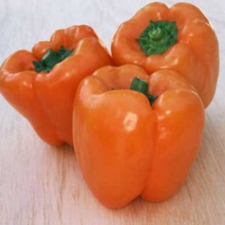 พริกหวานส้ม Orange Bell Pepper