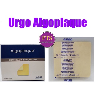 Algoplaque 10x10 cm (1 แผ่น)