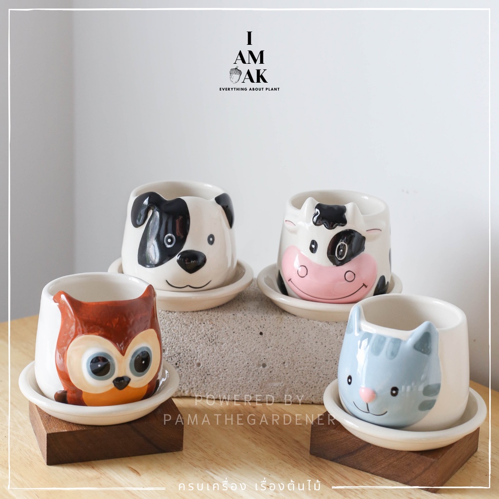 มุมมอง 2