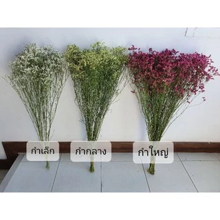 พร้อมส่ง COD ดอกสุ่ยแห้ง ดอกไม้ ดอกไม้แห้ง ดอกสุ่ยแห้ง สำหรับจัดช่อ ตกแต่งบ้าน คาเฟ่ งานฝีมือ มินิมอล วินเทจ ของชำร่วย
